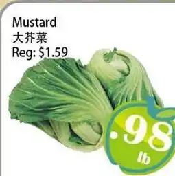 Food Depot Supermarket Mustard offer