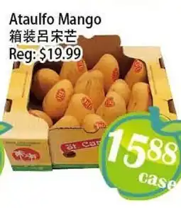 Food Depot Supermarket Ataulfo Mango offer