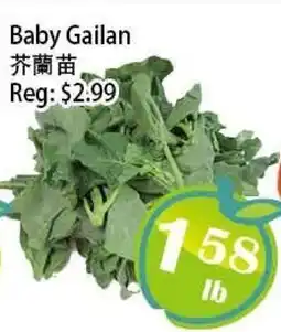 Food Depot Supermarket Baby Gailan offer
