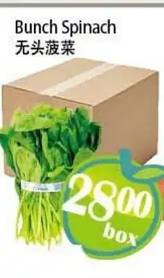 Food Depot Supermarket Bunch Spinach offer