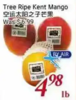 Tone Tai Supermarket Tree Ripe Kent Mango offer