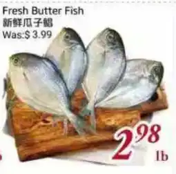 Tone Tai Supermarket Fresh Butter Fish offer