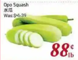 Tone Tai Supermarket Opo Squash offer
