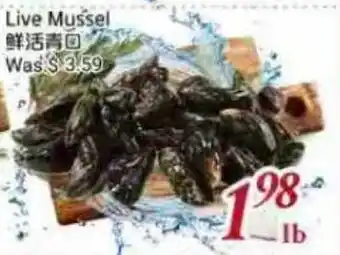 Tone Tai Supermarket Live Mussel offer