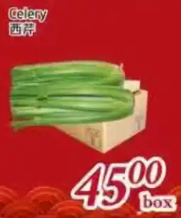 Tone Tai Supermarket Celery offer