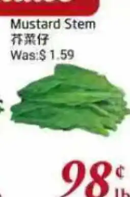 Tone Tai Supermarket Mustard Stem offer