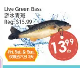 Fresh Palace Supermarket Live Green Bass offer