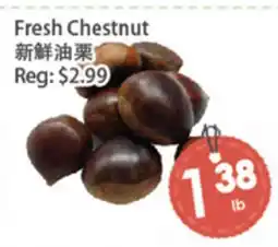 Fresh Palace Supermarket Fresh Chestnut offer