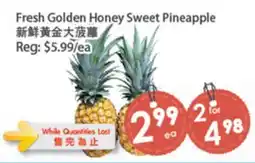 Fresh Palace Supermarket Fresh Golden Honey Sweet Pineapple offer