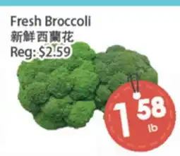 Fresh Palace Supermarket Fresh Broccoli offer