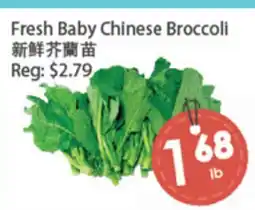 Fresh Palace Supermarket Fresh Baby Chinese Broccoli offer