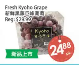 Fresh Palace Supermarket Fresh Kyoho Grape offer