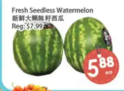 Fresh Palace Supermarket Fresh Seedless Watermelon offer