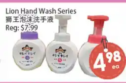 Fresh Palace Supermarket Lion Hand Wash Series offer