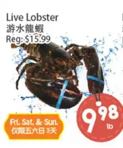Fresh Palace Supermarket Live Lobster offer