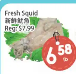 Fresh Palace Supermarket Fresh Squid offer