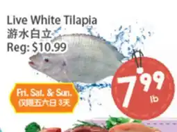 Fresh Palace Supermarket Live White Tilapia offer