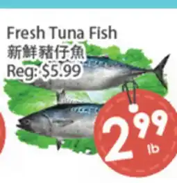 Fresh Palace Supermarket Fresh Tuna Fish offer