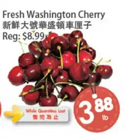Fresh Palace Supermarket Fresh Washington Cherry offer
