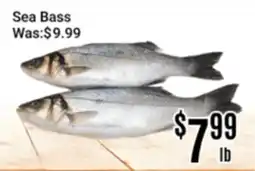 Nations Fresh Foods Sea Bass offer