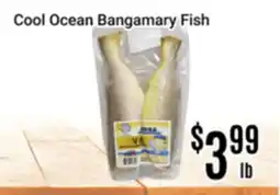 Nations Fresh Foods Cool Ocean Bangamary Fish offer