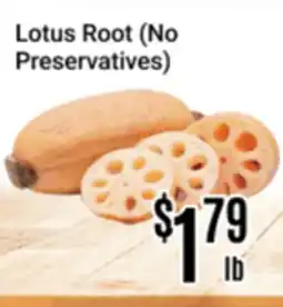 Nations Fresh Foods Lotus Root (No Preservatives) offer
