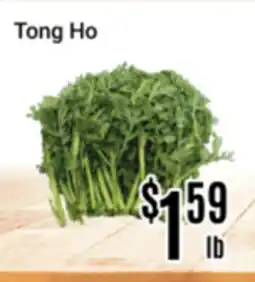 Nations Fresh Foods Tong Ho offer
