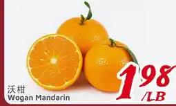 United Supermarket Wogan Mandarin offer