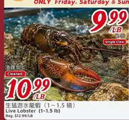 United Supermarket Live Lobster offer