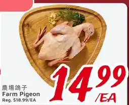 United Supermarket Farm Pigeon offer