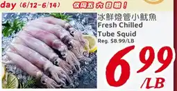 United Supermarket Fresh Chilled Tube Squid offer