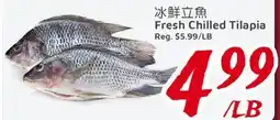 United Supermarket Fresh Chilled Tilapia offer
