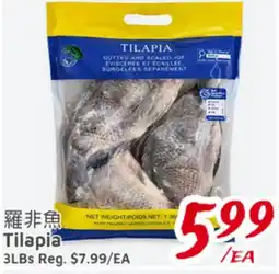 United Supermarket Tilapia offer