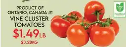 Fiesta Farms PRODUCT OF ONTARIO, CANADA #1 VINE CLUSTER TOMATOES offer