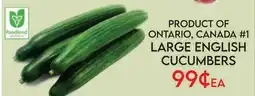 Fiesta Farms PRODUCT OF ONTARIO, CANADA #1 LARGE ENGLISH CUCUMBERS offer