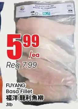 Terra Foodmart FUYANG Basa Fillet offer