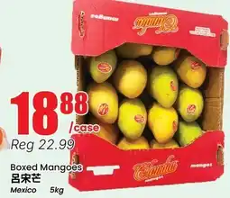 Terra Foodmart Boxed Mangoes offer
