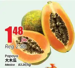 Terra Foodmart Papaya offer