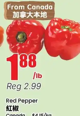 Terra Foodmart Red Pepper offer