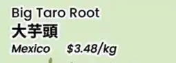 Terra Foodmart Big Taro Root offer