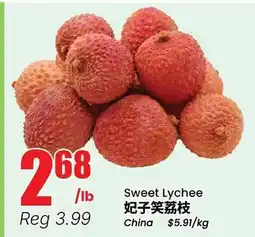 Terra Foodmart Sweet Lychee offer