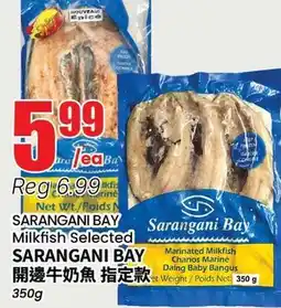 Terra Foodmart SARANGANI BAY Milkfish Selected offer