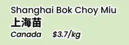 Terra Foodmart Shanghai Bok Choy Miu offer