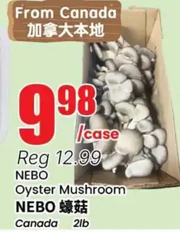Terra Foodmart NEBO Oyster Mushroom offer