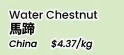 Terra Foodmart Water Chestnut offer