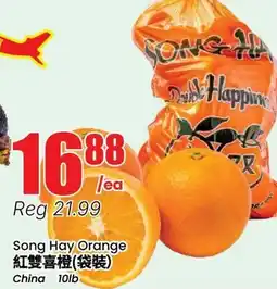 Terra Foodmart Song Hay Orange offer