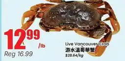 Terra Foodmart Live Vancouver Crab offer