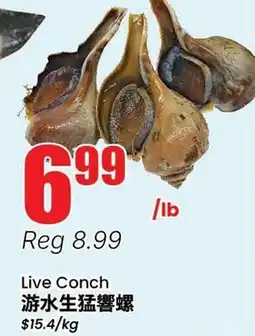 Terra Foodmart Live Conch offer