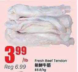 Terra Foodmart Fresh Beef Tendon offer