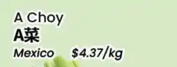 Terra Foodmart A Choy offer